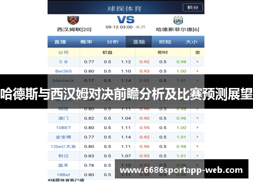 哈德斯与西汉姆对决前瞻分析及比赛预测展望